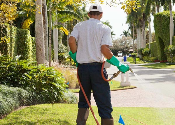 About Strongstown PA Pest Control